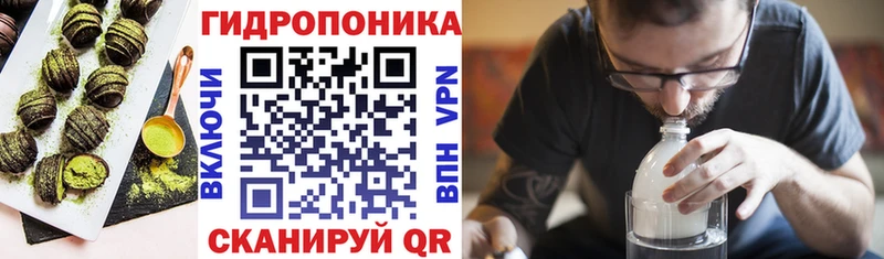 Купить  Краснотурьинск  Canna-Cookies конопля 
