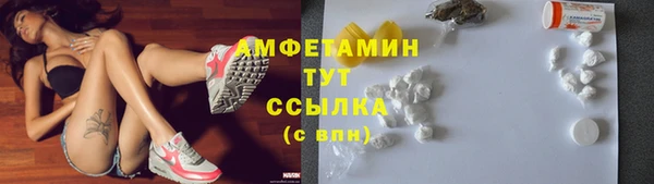 молекула духа Заволжье