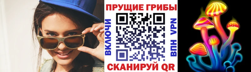 Купить  Краснотурьинск  Псилоцибиновые грибы мицелий 
